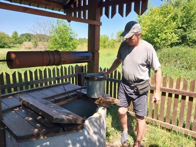 "Тут тварини травляться". На Сумщині зливають каналізаційні води поблизу села "Тут тварини травляться". На Сумщині зливають каналізаційні води поблизу села
