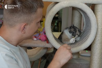 «Котики — це не іграшки»: як за понад пів року змінилося котокафе в Одесі «Котики — це не іграшки»: як за понад пів року змінилося котокафе в Одесі