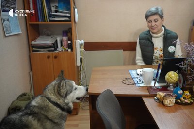 "Перший власник загинув": "Тузлівські лимани" на Одещині патрулює врятований від самотності собака