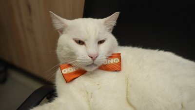 Херсон, ХОЕК, ONDO, комунальні послуги Херсон, ХОЕК, ONDO, комунальні послуги