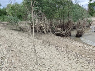 Білогірське водосховище станом на 21 квітня 2024 року Білогірське водосховище станом на 21 квітня 2024 року