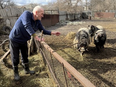 “На кого ж я їх оставлю”. Історія пенсіонера з Прилісного, який тримає баранів біля фронту “На кого ж я їх оставлю”. Історія пенсіонера з Прилісного, який тримає баранів біля фронту