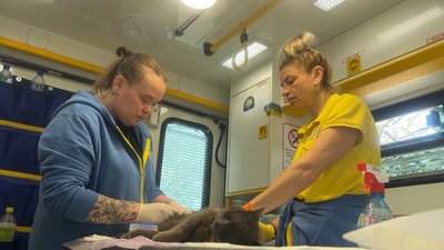 Стерилізація тварин Слов’янськ Донецька область 23 квітня 2025 рік Стерилізація тварин Слов’янськ Донецька область 23 квітня 2025 рік