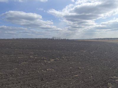 "Скандальне поле": чому фермери на Полтавщині вимушені виорювати берег річки "Скандальне поле": чому фермери на Полтавщині вимушені виорювати берег річки