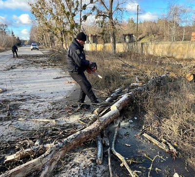 Поліцейський офіцер розпилює дерево у Нововодолазькій громаді Поліцейський офіцер розпилює дерево у Нововодолазькій громаді