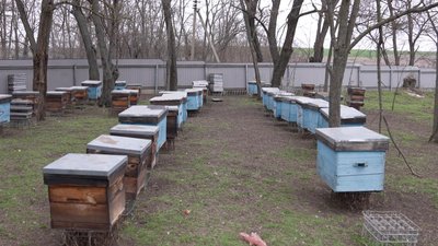 Єдині жителі в селі Мар'янівка: історія подружжя з Кіровоградщини Єдині жителі в селі Мар'янівка: історія подружжя з Кіровоградщини