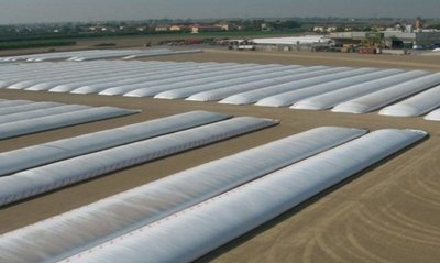 На Одещині зібрали на 100% більше ранніх зернових: де та як зберігають збіжжя в умовах обстрілів На Одещині зібрали на 100% більше ранніх зернових: де та як зберігають збіжжя в умовах обстрілів