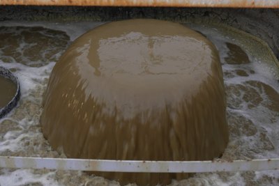 Барда у стоках на очисних спорудах "Чернівціводоканалу" Барда у стоках на очисних спорудах "Чернівціводоканалу"