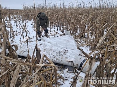 Вибухотехніки Нацполіції знешкодили близько 40 бойових частин крилатих ракет Вибухотехніки Нацполіції знешкодили близько 40 бойових частин крилатих ракет