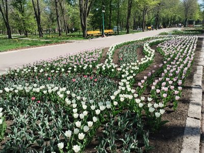 Вхід у кропивницький Дендропарк: платний чи ні Вхід у кропивницький Дендропарк: платний чи ні