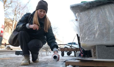 Відморожені хвости та лапи: як допомогти безпритульним тваринам у холоднечу Відморожені хвости та лапи: як допомогти безпритульним тваринам у холоднечу