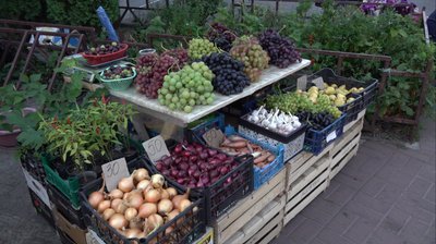 "Такого смачного ще не було": яка вартість винограду у Черкасах "Такого смачного ще не було": яка вартість винограду у Черкасах