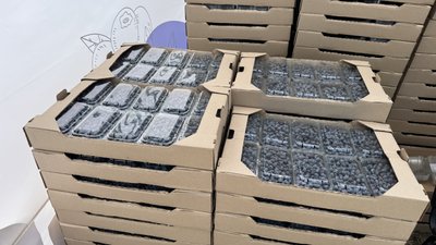 "Плануємо зібрати 10 тонн": як на Миколаївщині вирощують лохину "Плануємо зібрати 10 тонн": як на Миколаївщині вирощують лохину