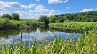 Через маловоддя на Рівненщині скоротили ліміти забору води для підприємств Через маловоддя на Рівненщині скоротили ліміти забору води для підприємств