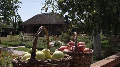 Лежать на дорогах, дахах, у мішках та у саду Довженка: як цьогоріч у Сосницькій громаді вродили яблука Лежать на дорогах, дахах, у мішках та у саду Довженка: як цьогоріч у Сосницькій громаді вродили яблука
