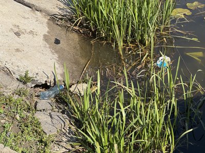 "Дерева, автомобільні шини та побутове сміття": водолази у Полтаві очищають дно Ворскли "Дерева, автомобільні шини та побутове сміття": водолази у Полтаві очищають дно Ворскли