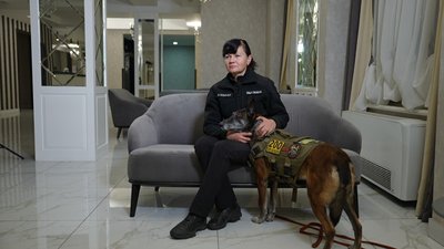 Як працює пошуково-рятувальний кінологічний загін "Антарєс" з Дніпропетровщини Як працює пошуково-рятувальний кінологічний загін "Антарєс" з Дніпропетровщини