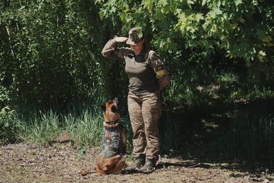 Як у Нацгвардії змінили навчання собак через повномасштабну війну