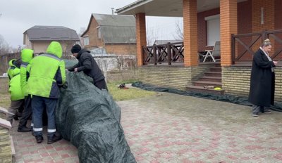 12 років росла на приватному подвірʼї: на Черкащині підприємець подарував місту різдвяне дерево 12 років росла на приватному подвірʼї: на Черкащині підприємець подарував місту різдвяне дерево