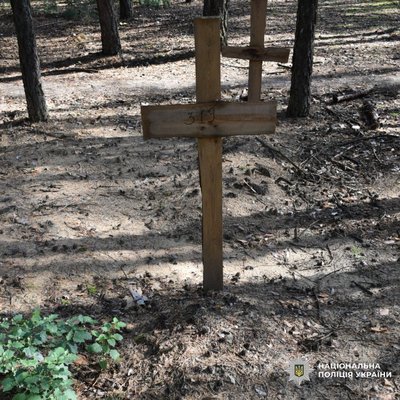 Місце поховання письменника Вакуленка Місце поховання письменника Вакуленка