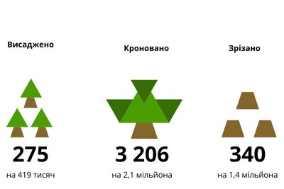 Скільки дерев посадили та зрізали у Житомирі минулоріч та скільки це коштувало Скільки дерев посадили та зрізали у Житомирі минулоріч та скільки це коштувало