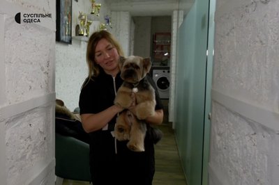 Допоміг грант від держави: в Одесі переселенка з Донецька відкрила грумінг-салон Допоміг грант від держави: в Одесі переселенка з Донецька відкрила грумінг-салон