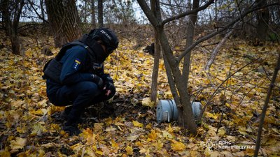 На Чернігівщині сапери ДСНС знешкодили бойові частини російських безпілотників, які не здетонували На Чернігівщині сапери ДСНС знешкодили бойові частини російських безпілотників, які не здетонували