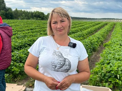 "Вирощування суниці — частина мого життя" — підприємець про релокацію бізнесу на Житомирщину "Вирощування суниці — частина мого життя" — підприємець про релокацію бізнесу на Житомирщину