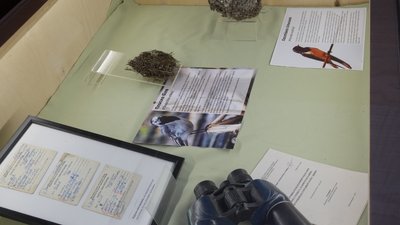 В музеї імені Дмитра Яворницького відкрилася виставка дикої природи Дніпропетровщини В музеї імені Дмитра Яворницького відкрилася виставка дикої природи Дніпропетровщини