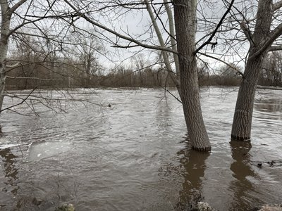 У Полтавському районі рівень води у Ворсклі підіймається до критичного: чого очікувати У Полтавському районі рівень води у Ворсклі підіймається до критичного: чого очікувати