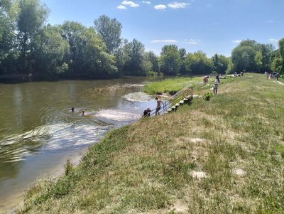 в якому стані пляжі Луцька в якому стані пляжі Луцька