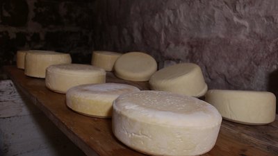 Сироварня, Бечко, бриндза, Гуцульщина Сироварня, Бечко, бриндза, Гуцульщина