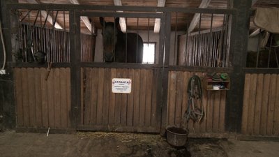 Через замети призупинили роботу кінноспортивного клубу у Великій Омеляній на Рівненщині Через замети призупинили роботу кінноспортивного клубу у Великій Омеляній на Рівненщині