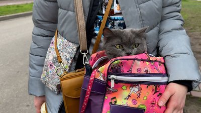 "Раніше їздили за грошима, тепер стали більше евакуюватися". З Донеччини за добу евакуювали 318 людей "Раніше їздили за грошима, тепер стали більше евакуюватися". З Донеччини за добу евакуювали 318 людей