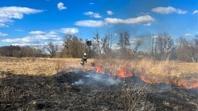 На Черкащині протягом доби 12 разів горів сухостій На Черкащині протягом доби 12 разів горів сухостій