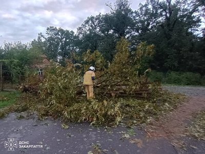 Закарпатські рятувальники ліквідовували наслідки негоди Закарпатські рятувальники ліквідовували наслідки негоди
