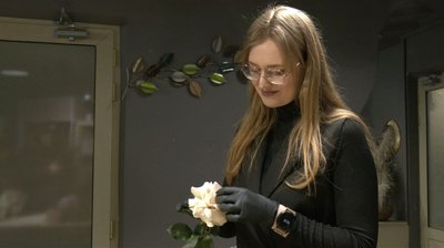 Квіти, флористи, ціни на квіти, замовити квіти, 13 лютого 2026, Тернопіль Квіти, флористи, ціни на квіти, замовити квіти, 13 лютого 2026, Тернопіль