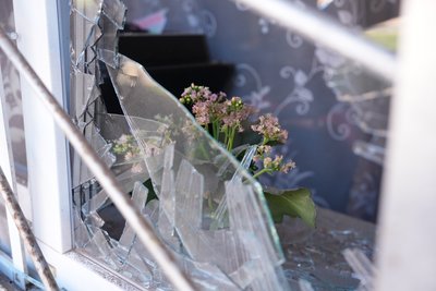 квітка на підвіконні з розбитим склом квітка на підвіконні з розбитим склом