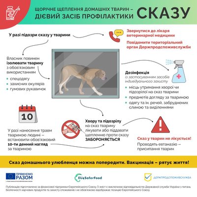 У Луцьку — новий випадок сказу. Що відомо У Луцьку — новий випадок сказу. Що відомо