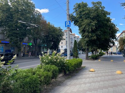 У Житомирі створюють онлайн-карту зелених зон: оцифровано 3700 насаджень У Житомирі створюють онлайн-карту зелених зон: оцифровано 3700 насаджень