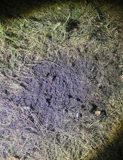 На Черкащині юнак кинув гранату під ноги батьку дівчини, бо хотів з нею зустрічатися На Черкащині юнак кинув гранату під ноги батьку дівчини, бо хотів з нею зустрічатися