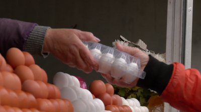 Ціни на овочі та яйця: чи здорожчали продукти на черкаському ринку Ціни на овочі та яйця: чи здорожчали продукти на черкаському ринку
