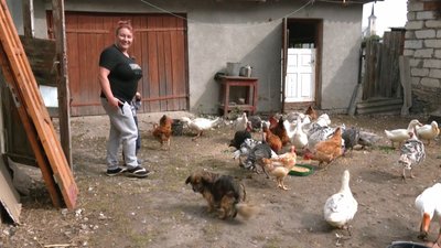 Благодійники надають жителям Хмельниччини кошти на започаткування домашнього господарства Благодійники надають жителям Хмельниччини кошти на започаткування домашнього господарства