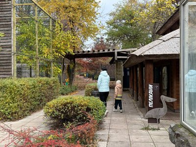 зоопарк зоопарк