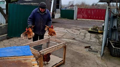 Село Сергіївка Удачненська громада Покровський район Донецька область 27 січня 2025 рік Село Сергіївка Удачненська громада Покровський район Донецька область 27 січня 2025 рік