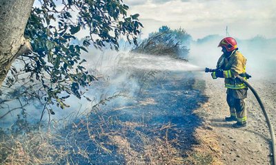 Пенсіонерка отримала опіки через пожежу у дворі: на Черкащині за добу згоріли понад десять гектарів сухостою Пенсіонерка отримала опіки через пожежу у дворі: на Черкащині за добу згоріли понад десять гектарів сухостою