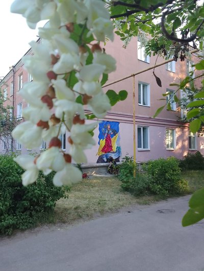 Леся Українка з джавеліном: художник з Житомирщини створив патріотичний мурал Леся Українка з джавеліном: художник з Житомирщини створив патріотичний мурал