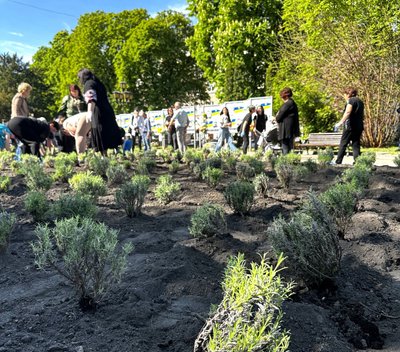 клумба, "Квітник матері", Алея пам'яті клумба, "Квітник матері", Алея пам'яті