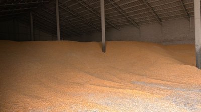 На Черкашині через погоду затрималась посівна На Черкашині через погоду затрималась посівна