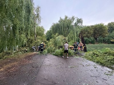Сильний вітер пошкодив будівлі та автомобілі на Рівненщині